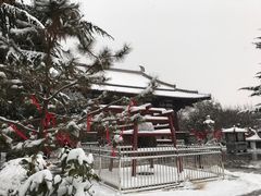 -西安青龙寺遗址景区