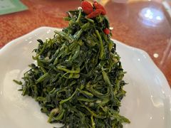 清香枸杞苗-国强手抓(北京西路店)