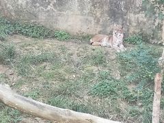 -宁波野生动物园