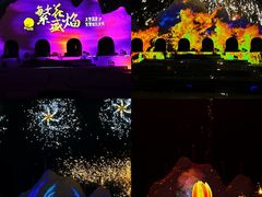-花博汇(知音花月夜)