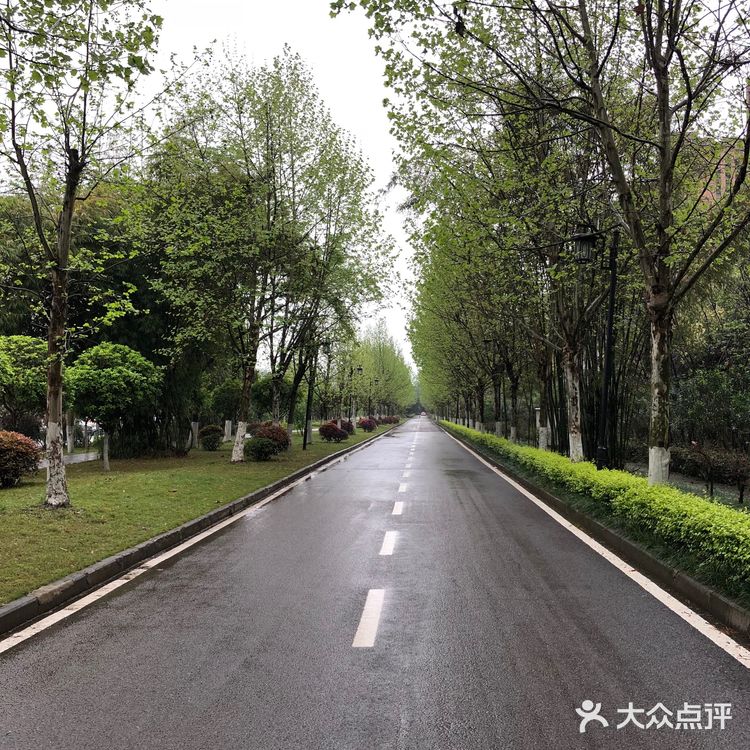 周末雨天大渡口义渡古镇人很少，有室内停车场