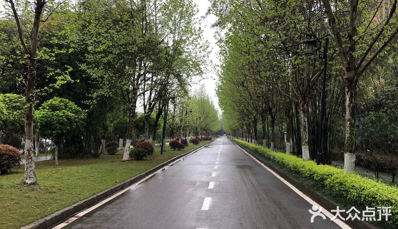 周末雨天大渡口义渡古镇人很少，有室内停车场