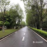 周末雨天大渡口义渡古镇人很少，有室内停车场