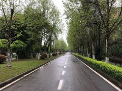 -大渡口区义渡公园