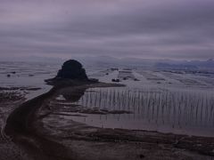 -北岐滩涂