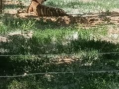 -秦皇岛野生动物园