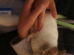 -龙猫仔乐园(惠福东路店)