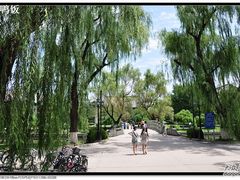 -北京大学赛克勒考古与艺术博物馆