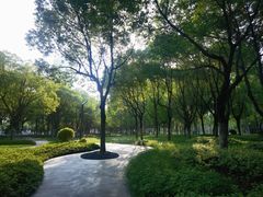 -天鹅湖体育公园