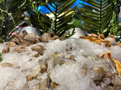 -海吃海喝海鲜烤肉炭火主题自助餐(朝阳店)