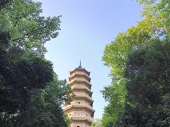 -灵谷景区