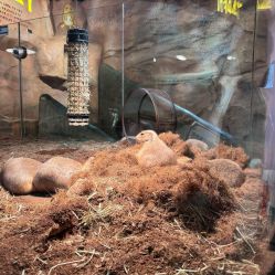 -Zoolung Zoolung动物主题公园(海信广场店)