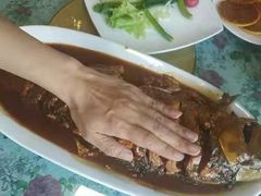 -金台阶鱼馆(于桥水库店)