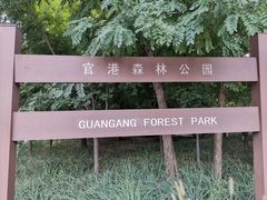 -官港森林公园
