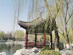 -桃花堤公园