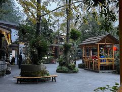 -青城甲(青城山店)