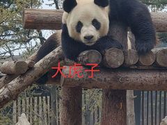 -大连森林动物园