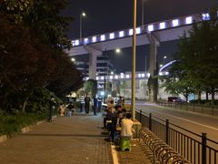 -新疆阿力烧烤
