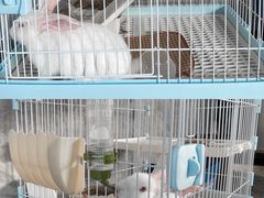 -SHRIMP CLUB万东餐饮钓虾·清吧