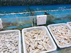 -宝燕壹号(徐汇店)