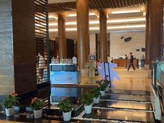 -逸廊大堂吧-下午茶·简餐-千岛湖自由洲际殿