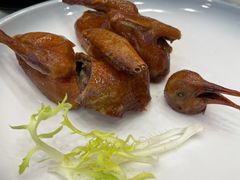 红烧乳鸽-凤凰楼酒家·粤宴点心(华强北店)