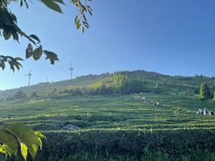 -东白山