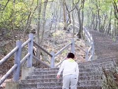 -紫金山山顶公园