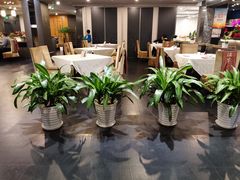 -峨嵋酒家(牡丹园店)