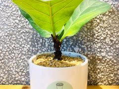 -MQ COFFEE STAND明谦(新洲店)