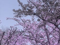 -虹口龙之梦购物中心·停车场