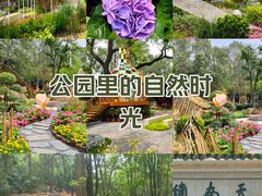 -广州市白云山风景名胜区