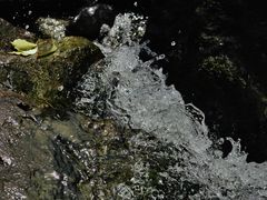 -中国茶叶博物馆(双峰馆区)