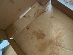 -达美乐比萨(国瑞北路店)