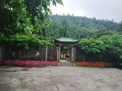-庐山风景区花径公园
