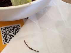 -Dough&Joe团憩(瑞虹天地月亮湾店)