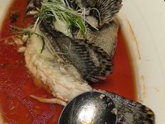 -同庆楼(滨湖万达广场店)