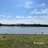 艳阳普照的日子真让人心情舒畅🌞