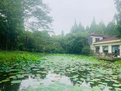 -上海怡沁园度假酒店