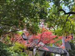 -幕燕滨江·燕子矶公园