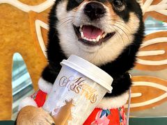 -CHARLIETOWN红茶公司(南京万象天地店)