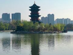 -迎泽公园