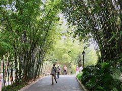 -晓港公园