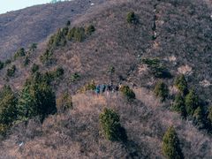 -香山公园