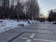 -元大都城垣遗址公园