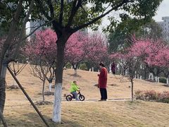 -东湖景区