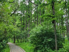 -长春市南湖公园