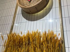 -嘉州北味春老烧麦·面食(叮咚街店)