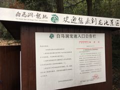 -白马涧龙池景区