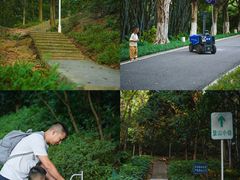 -玉树公园